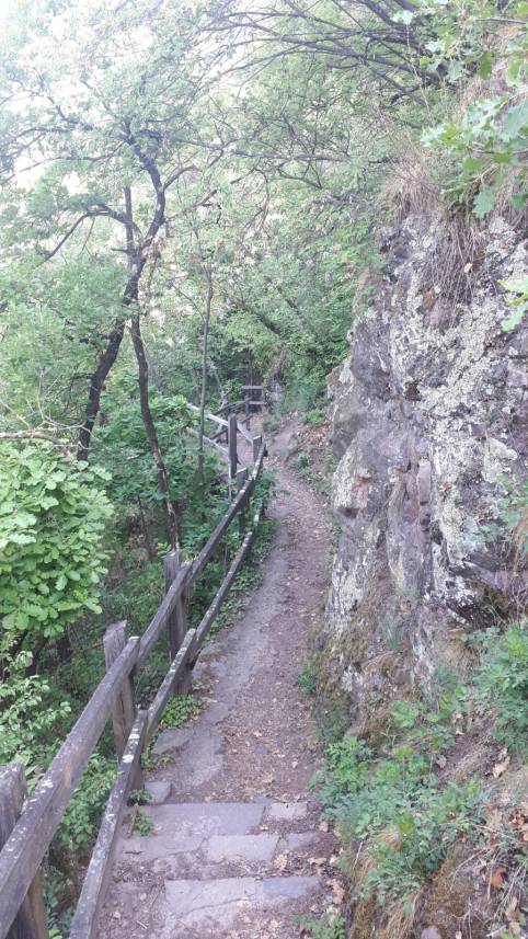 Foto Weg Stoll Helga